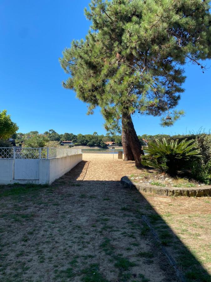 Un Cocon Climatise Au Bord Du Lac D'Hossegor Soorts-Hossegor Exterior photo